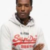 Superdry Duo Vintage Logo Hoodie In Glacier Grey Marl For Men -Mens Out Fit Deals 208281078 1 glaciergreymarl